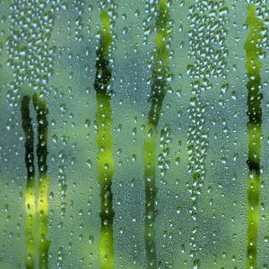 How Condensation Can Cause Problems in Your Home