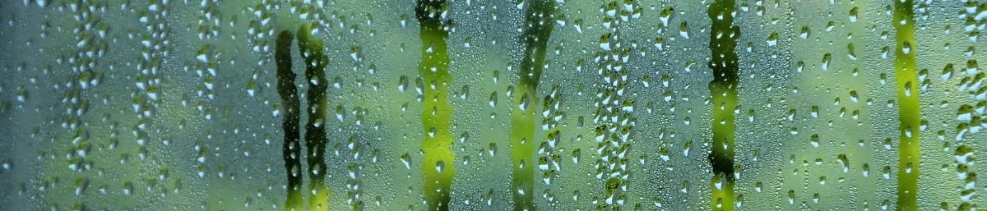 image of a dewy window caused from condensation