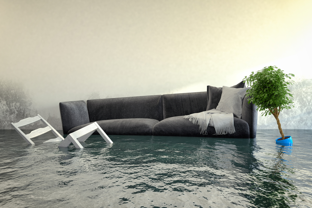 image of flooded living room